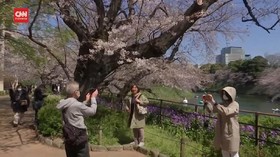 VIDEO: Walikota Tokyo Minta Warga Tak Datang Ke Taman
