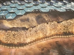 Darah Astronaut Bisa Jadi Bahan untuk Bangun Rumah di Mars