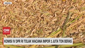 VIDEO: Komisi 4 DPR RI Tegas Tolak Wacana Impor Beras