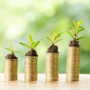 Ingin Investasi Tapi Modal Masih Pas-pasan? Masih Bisa, Kok! Ini Saran dari Ahli