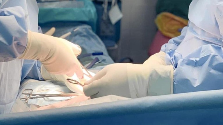 Kabar bahagia datang dari pasangan Randy Pangalila dan Chelsey Frank yang baru saja melahirkan anak pertama. Berikut momen harunya!