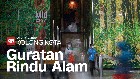 Kolong Kota: Guratan Rindu Alam