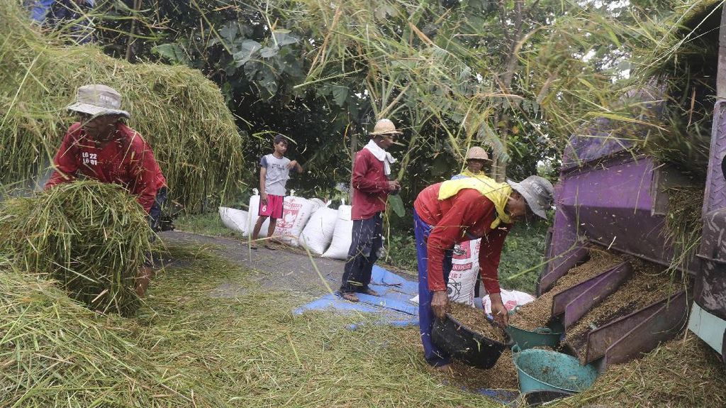 Bulog Targetkan Serap 4 Juta Ton Gabah, Harga Tetap Rp6.500