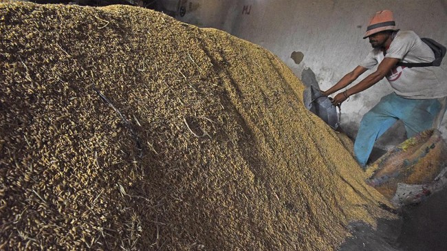 Badan Pangan Nasional (Bapanas) membatalkan harga batas atas (ceiling price) untuk pembelian gabah atau beras dari petani yang ditetapkan baru-baru ini.