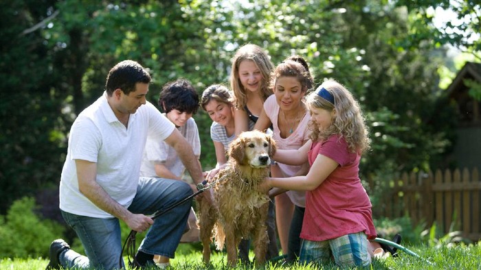 Orang Tua Bertengkar, Apa yang Harus Dilakukan?