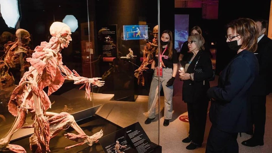Pameran Body Worlds