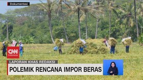 VIDEO: Polemik Rencana Impor Beras