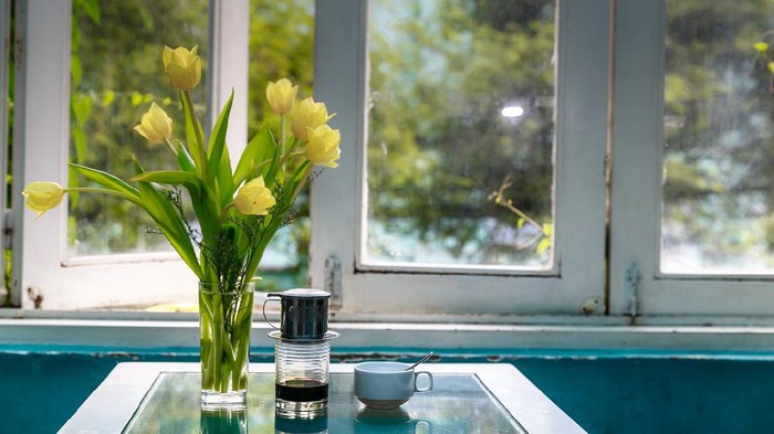 Warning! Ini 5 Kesalahan yang Bikin Tanaman Gagal Tumbuh di Air