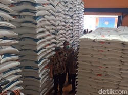 Mantap! Jokowi Sudah 3 Tahun Berturut-turut Tidak Impor Beras