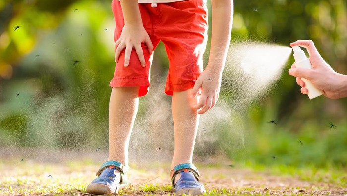 Mosquito on kids skin. Little boy attacked by mosquitoes in tropical forest. Insect repellent. Malaria and dengue fever prevention. Child scratching itchy bite in summer park.