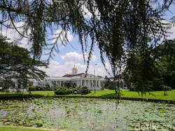 Mantan Pemimpin Kebun Raya Bogor Sikapi Rencana Wisata Malam Cahaya