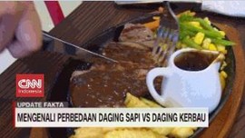 VIDEO: Mengenali Perbedaan Daging Sapi Vs Daging Kerbau