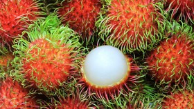Biji Rambutan Disebut Bisa Obati Kencing Manis