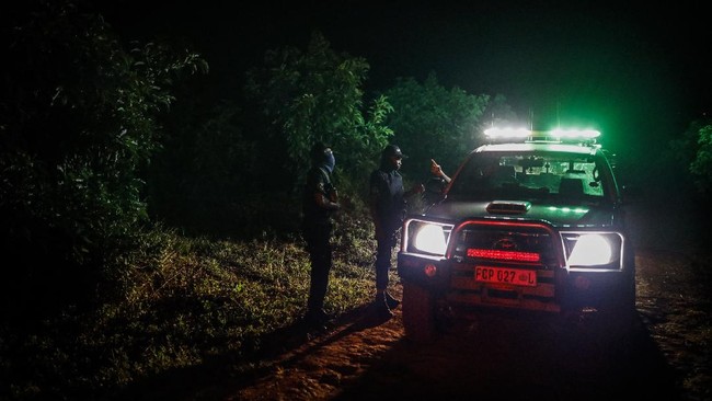 FOTO: Petani Afrika Merugi Usai Ribuan Ton Alpukat Dicuri