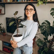 Pemula Mau Beli Tanaman Hias? Ini Panduan Membeli Tanaman Hias untuk Percantik Rumah