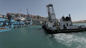 Terusan Suez, Isu Lingkungan dan Kehidupan Ikan yang Terancam