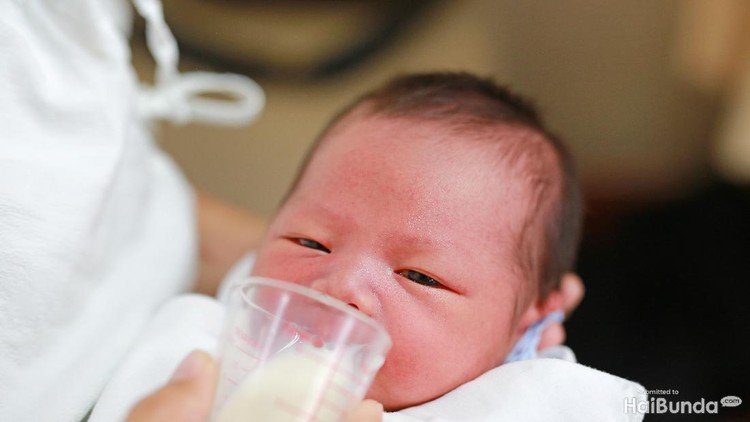 bayi minum asi perah dari cup feeder