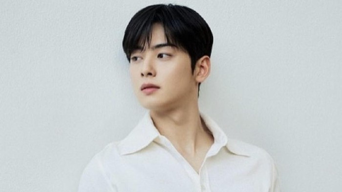 Cha Eun Woo