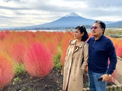 Otto Hasibuan Turun Tangan, Hotma Sitompul-Desiree Sepakat Mediasi