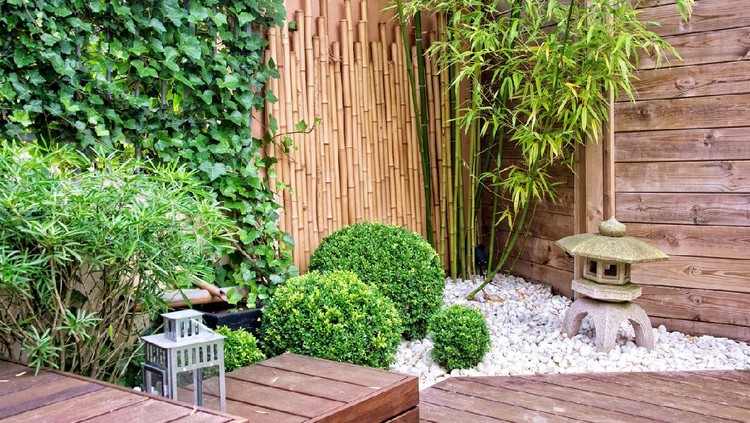 Ilustrasi Taman Sempit Japanese garden with bamboos and stone lantern