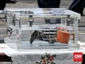 KNKT: CVR Merekam 2 jam Percakapan di Kokpit Kapten Afwan