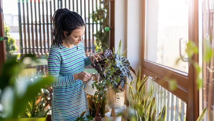 Young woman watering plants at home