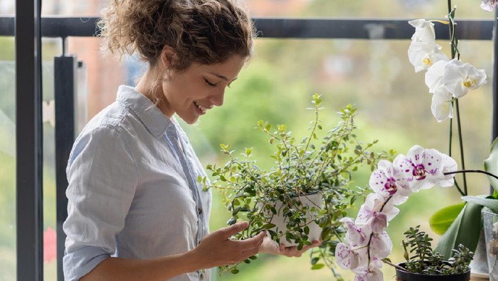 Happy woman at home taking care of her home garden and smiling â lifestyle concepts