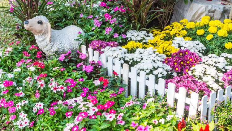 White picket fence surrounded by flowers in a front yard.