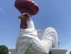 Maskot Ayam Hilang, Pemilik Restoran Bikin Sayembara Berhadiah Rp 14 Juta