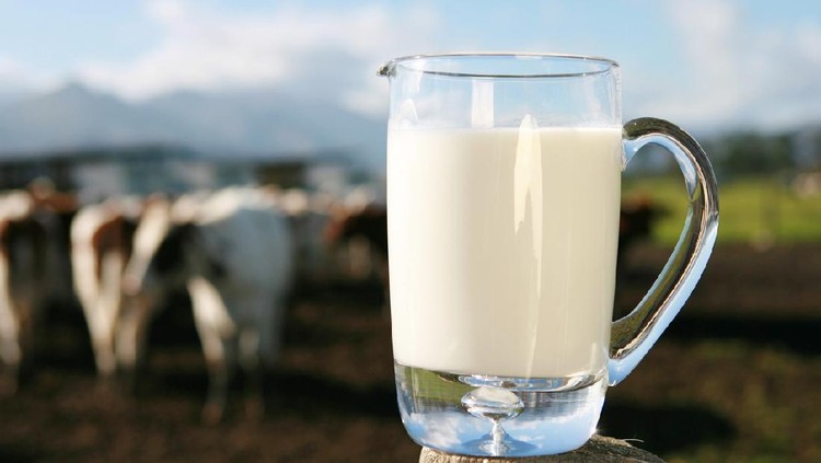 Susu Anak