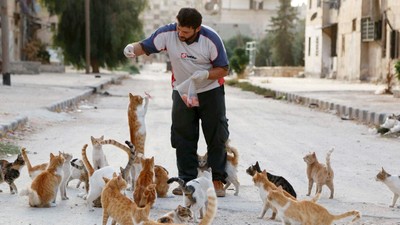 FOTO: Menyelamatkan Kucing yang Terluka Akibat Perang Suriah