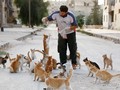 FOTO: Menyelamatkan Kucing yang Terluka Akibat Perang Suriah