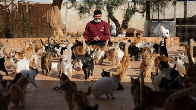 FOTO: Menyelamatkan Kucing yang Terluka Akibat Perang Suriah
