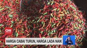VIDEO: Harga Cabai Turun, Harga Lada Naik