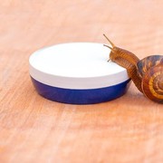 Kenali Manfaat Snail Mucin, Kandungan Super Skincare dari Korea