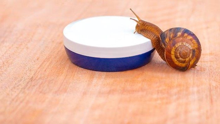 Kenali Manfaat Snail Mucin, Kandungan Super Skincare dari Korea
