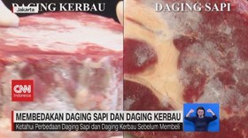 VIDEO: Membedakan Daging Sapi & Daging Kerbau