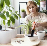 7 Tips Membuat Taman Mungil Makin Cantik dan Asri