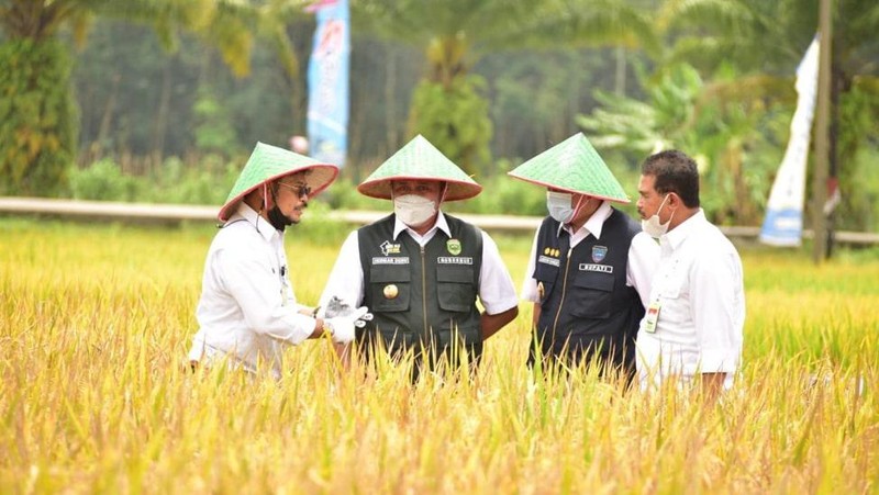 Menteri Pertanian (Mentan) RI Syahrul Yasin Limpo mengawal panen raya padi
