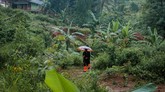 FOTO: Menengok Hening Kampung Tak Berpenghuni di Banten Kampung Cigobang, Kabupaten Lebak, Banten kini tak berpenghuni setelah dilanda bencana banjir bandang dan longsor pada Januari 2020 lalu.