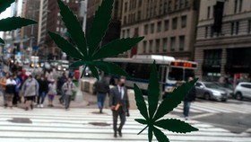 FOTO: Riang New York Rayakan Ganja Legal untuk Kesenangan