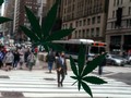 FOTO: Riang New York Rayakan Ganja Legal untuk Kesenangan