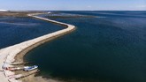 FOTO: Paus Abu Raksasa Kembali Sapa Turis di Meksiko Sekelompok paus abu raksasa menarik perhatian turis-turis yang sedang menikmati pemandangan di perairan Baja California, Meksiko, dari atas kapal.
