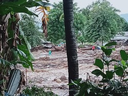 Update Korban Banjir Bandang Flores Timur: 23 Orang Meninggal, 2 Hilang