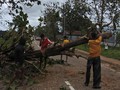 Danau Baru Terbentuk di Kupang Usai Badai Seroja
