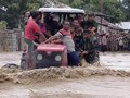 Walhi: Kerusakan Lingkungan Picu Banjir Bandang di NTT