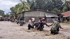 Pencarian Korban Banjir NTT Terkendala Gelombang Tinggi