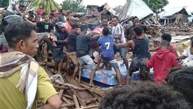 Jokowi Minta Menkes Buat RS Darurat untuk Korban Banjir NTT