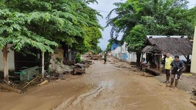359 Gardu Listrik di NTT Pulih Usai Badai Menerjang