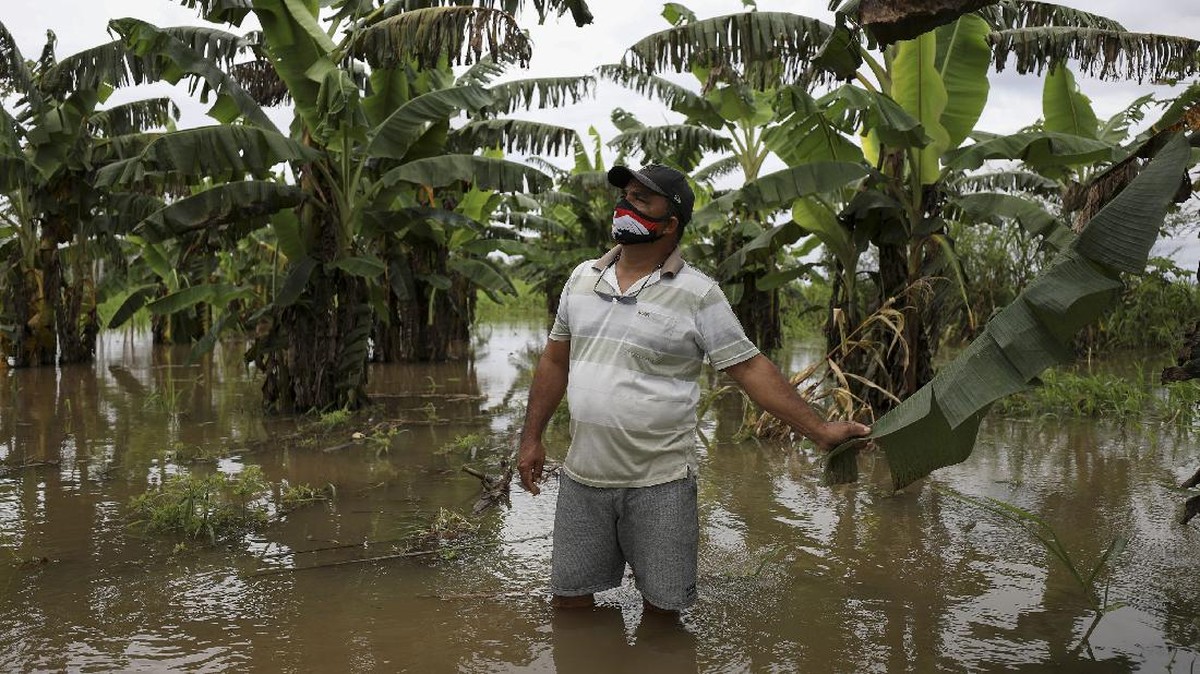FOTO: Hutan Rusak di Amazon Biang Kerok Banjir